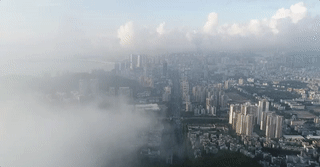 圖片1.png