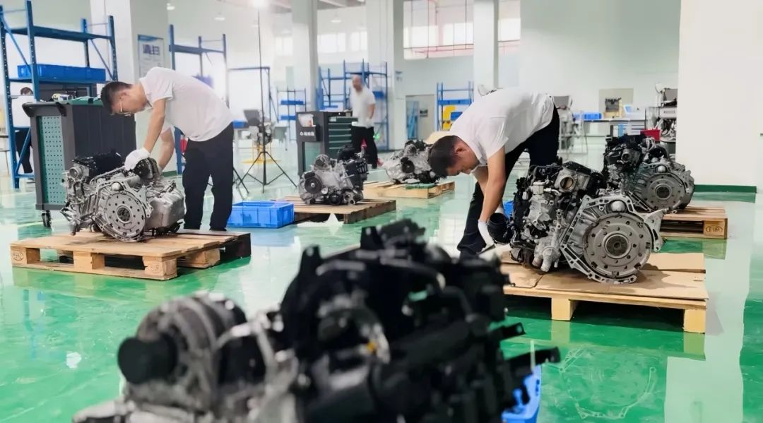 1739261287920448.jpg 14.jpg