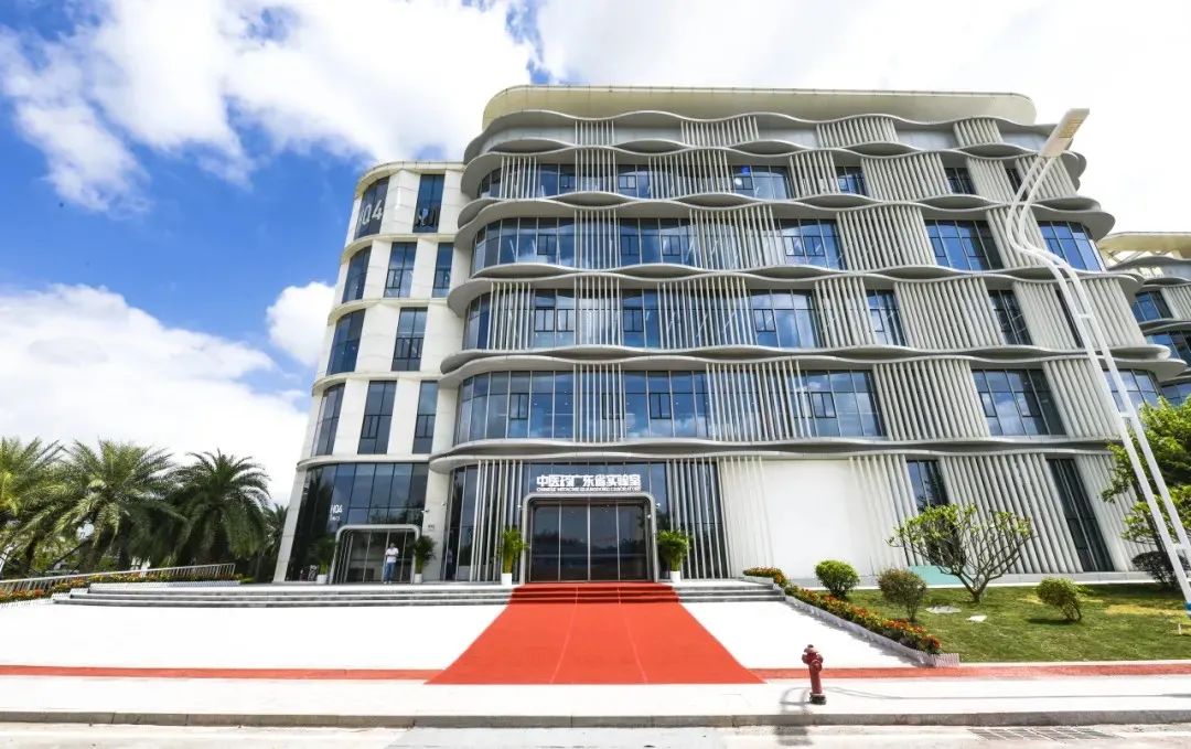 1739261917300492.jpg 45.jpg